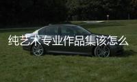 纯艺术专业作品集该怎么做？