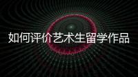 如何评价艺术生留学作品集？