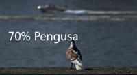 70% Pengusaha Hotel Bakal Kurangi Karyawan, Anindya Bakrie: Karena Efisiensi