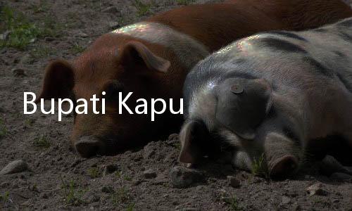 Bupati Kapuas dan Istri Ditetapkan Sebagai Tersangka Korupsi oleh KPK