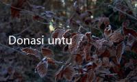 Donasi untuk Rahma Penderita Penyakit Tulang Langka lewat Berbuatbaik