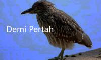 Demi Pertahankan KJP Tahun Depan, DPRD