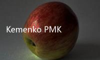 Kemenko PMK Anugerahi Penghargaan Atas Aksi Nyata PNM Percepat Penghapusan Kemiskinan Ekstrem