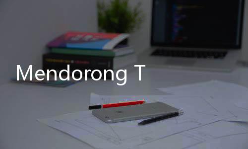 Mendorong Transformasi Digital untuk UMKM agar Ekonomi Indonesia Lebih Kuat