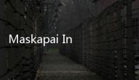 Maskapai Ini Punya Layanan Pilih Kursi Ramah Perempuan