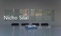 Nicho Silalahi Berani Bilang ke Ruhut Sitompul: Kupikir Abang Cerdas dan Paham Hukum
