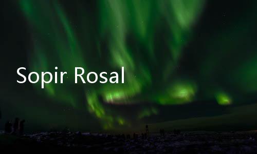 Sopir Rosalia Indah Ditahan Usai Ditetapkan Tersangka