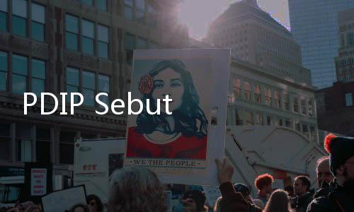 PDIP Sebut Gibran Anak Ingusan, PSI : Sangat Tidak Etis!