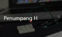 Penumpang Heboh Usai Hewan Mirip Tupai Terbang Berkeliaran di Pesawat