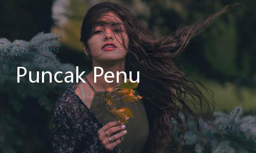Puncak Penumpang Libur Natal di Bandara Halim Diprediksi Besok