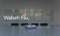 Wabah Flu, Pelancong Penyakit Kronis Disarankan Tunda ke China